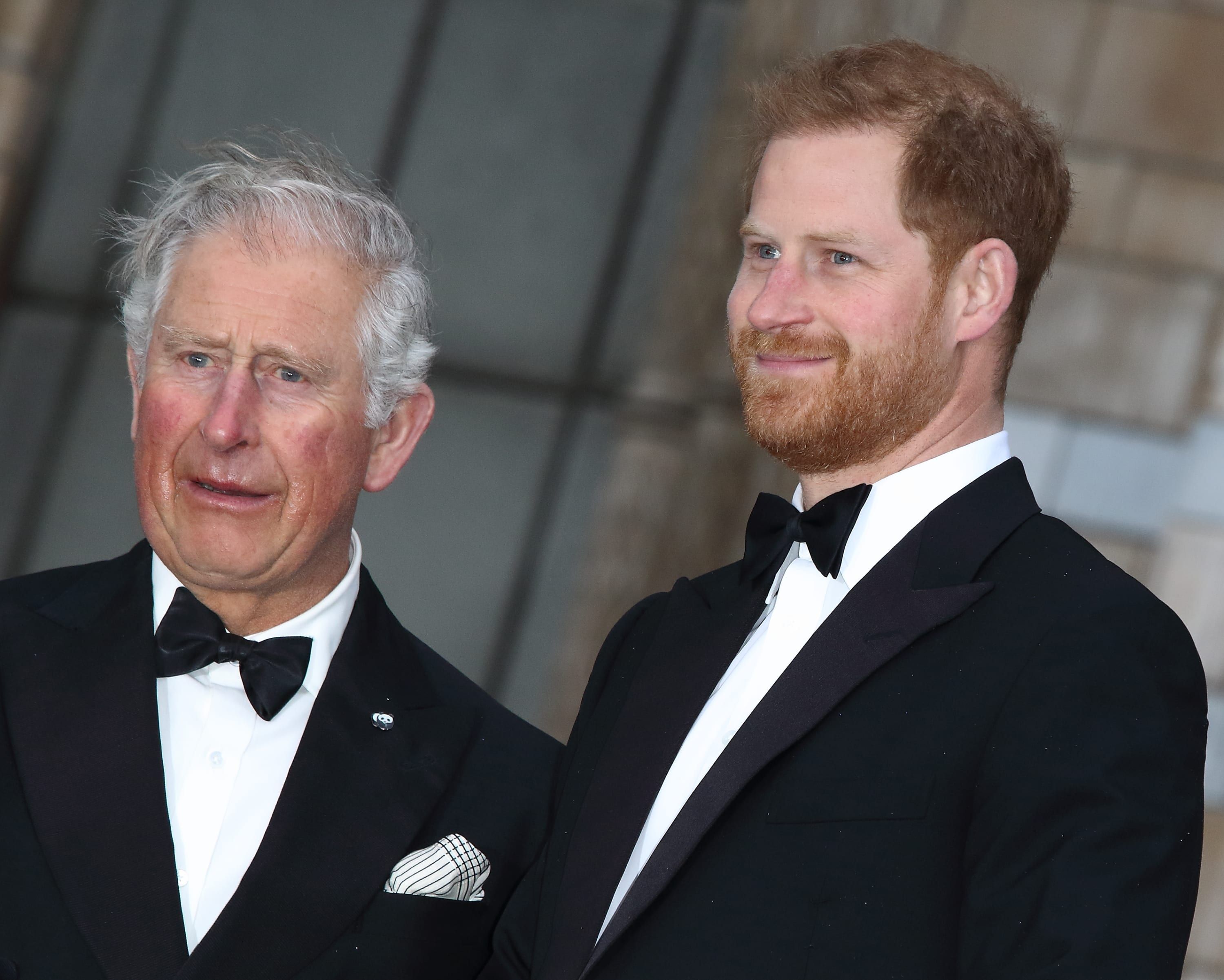 Proč se princ Harry a princ Charles dosud plně nesmiřili