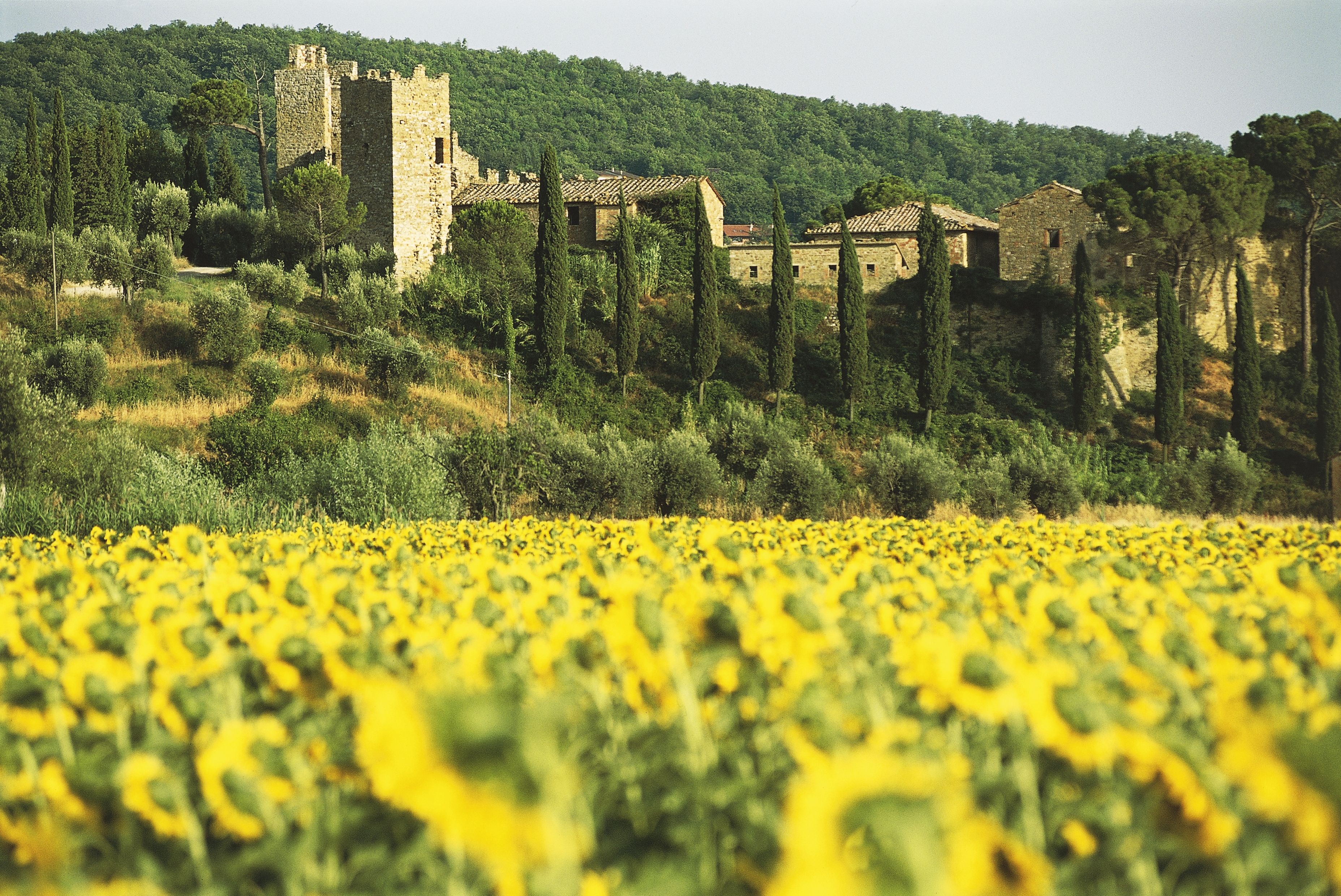Italia dă gratuit peste 100 de castele